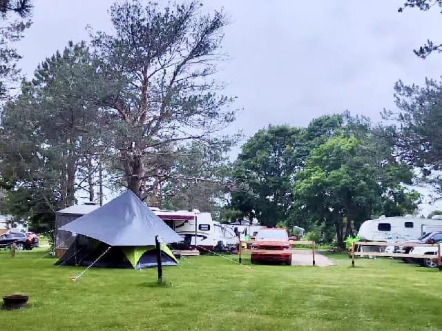 Full-service RV site with trees and grass